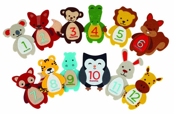 Pearhead香港限定優惠 第一年寶寶成長毛毯貼紙